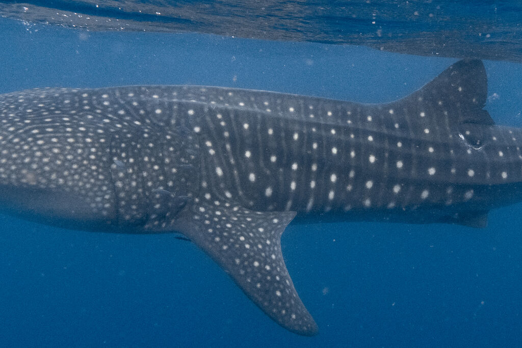 5fe03fe0-0ab5-44a3-95e9-ff3b9c1f1e62