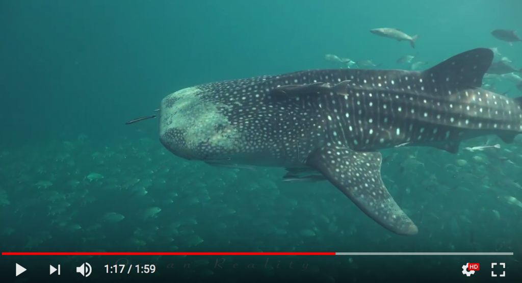 61013948-359f-4606-8d99-c63e9994f872