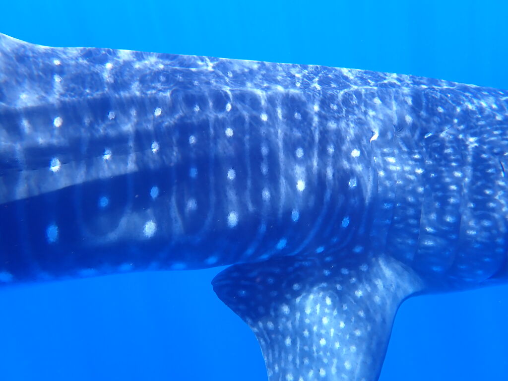 8253c577-914c-4de3-afe4-a70acaa3f3a0