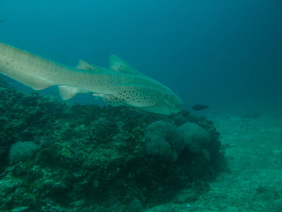 ca68d71b-7a21-4b66-bba8-b015d17513ae