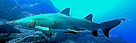 a3659bb3-fa39-4bb2-8da7-91ee9f26260e