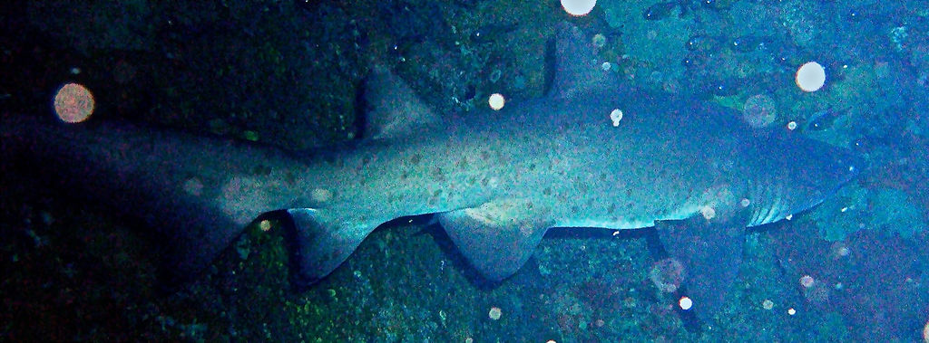 10611dd1-978c-43c9-b373-3aecaca9e822