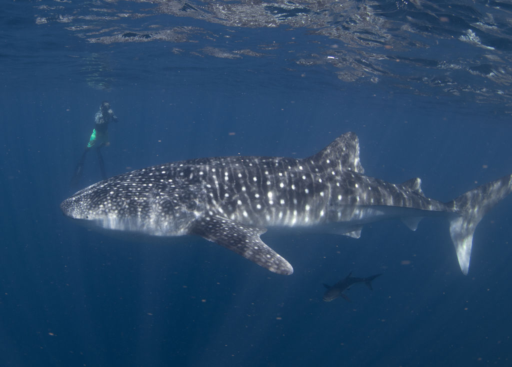 aa355165-0d11-47b1-bebc-166973da81d2