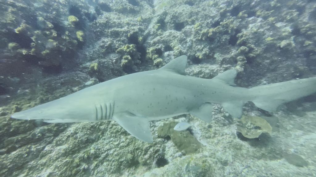 d56fb99c-880b-4690-a4df-ce15ce4ba4c6