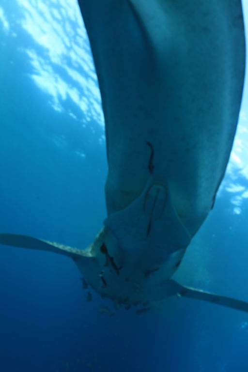 0db923e7-11b6-4963-8c0c-babc6c9de01a