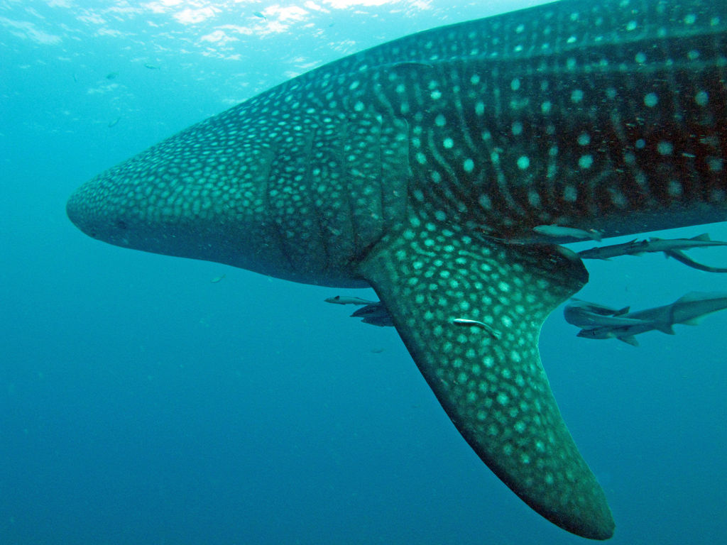 0db923e7-11b6-4963-8c0c-babc6c9de01a