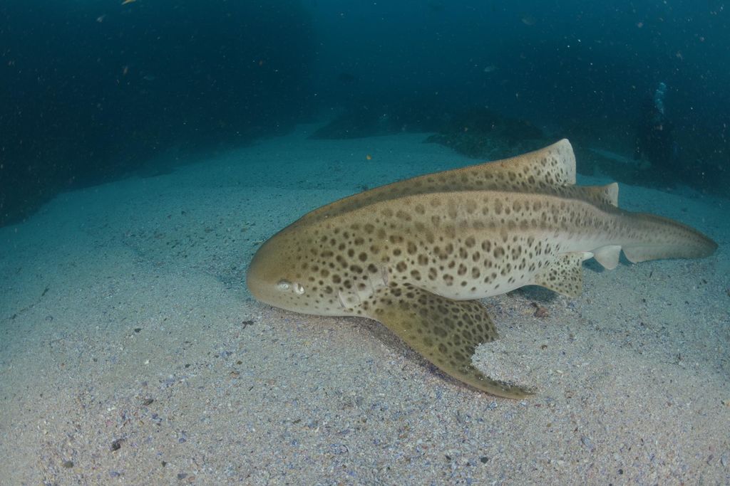 a120f652-9ec0-437c-9eb2-ea69868576e1