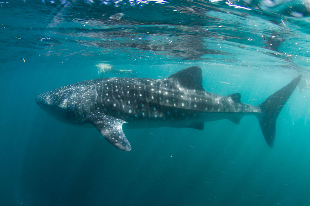 5e6c1361-2b48-4e90-b690-ea61ff163fcd