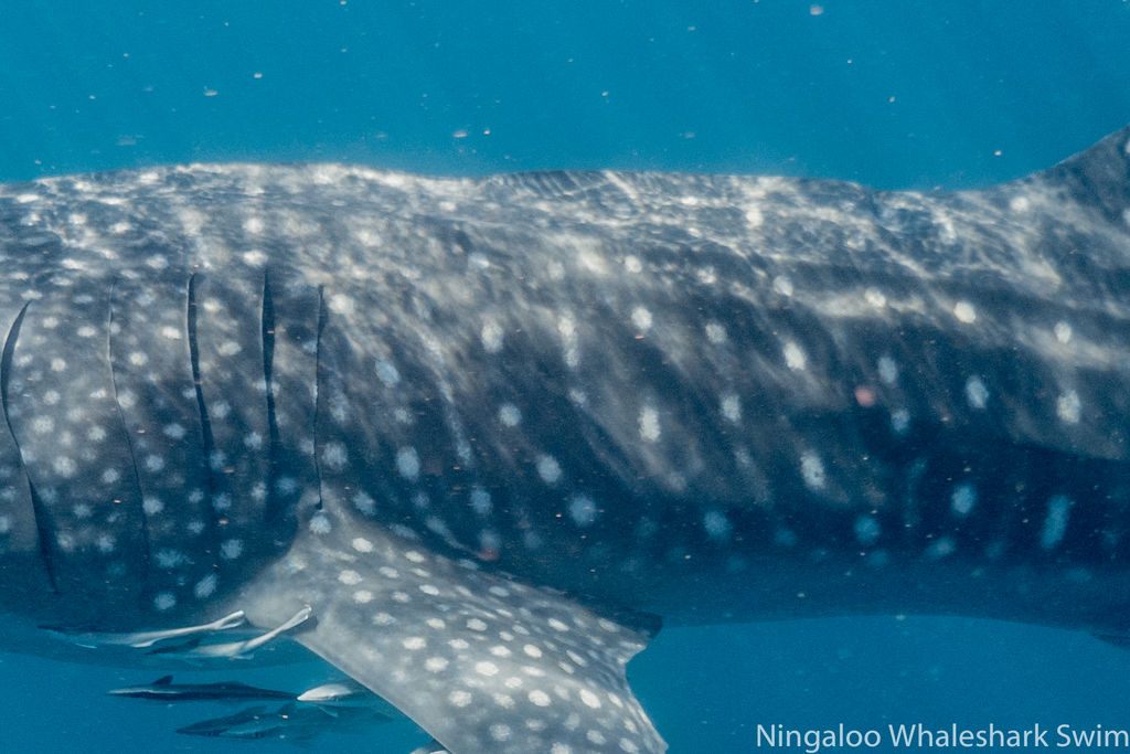 13a64151-5e17-4699-95b3-c908240bd632