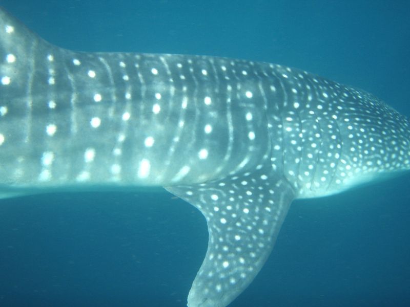 3462b642-0bd3-43a8-9ce7-04d85138cb98