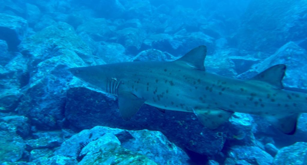 535f4338-db7f-4c83-a160-c42109bbf87f