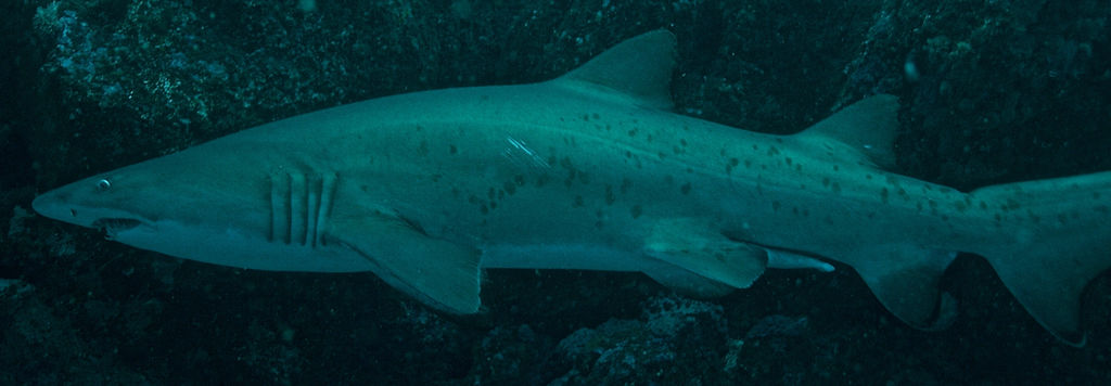 bf65bbd1-6a5e-4084-8a75-380e09a0d923