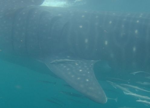 d61665fe-1d4d-4431-82d6-3c2b1b1fd2e8