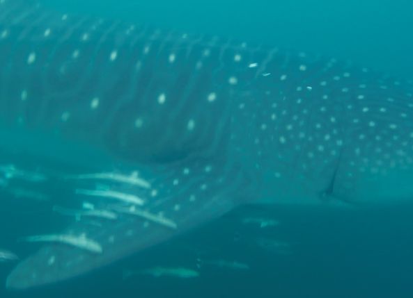 d61665fe-1d4d-4431-82d6-3c2b1b1fd2e8