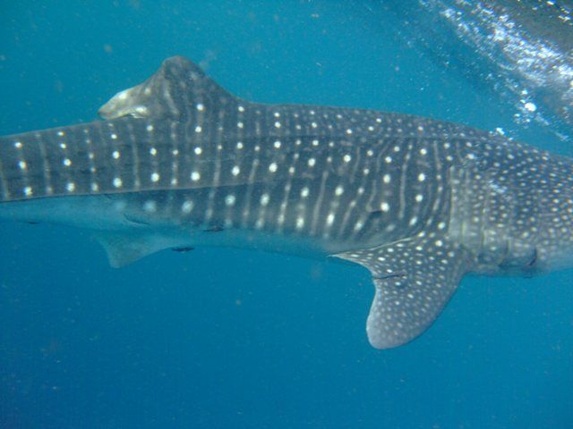 2407d1c7-88b6-40b4-a0a5-66b2c547a409