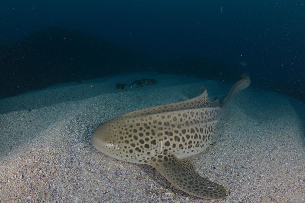 583bec27-1e01-46d2-8c31-4f0bbdb24d9b