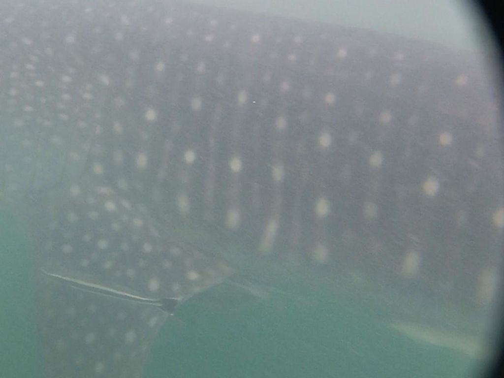 11cdf02d-a89d-4c72-b655-b241bf27a35e