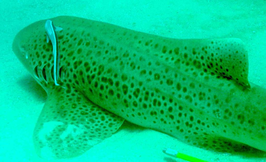 b775d9a8-2131-4fbc-9751-e53bc3f5d190