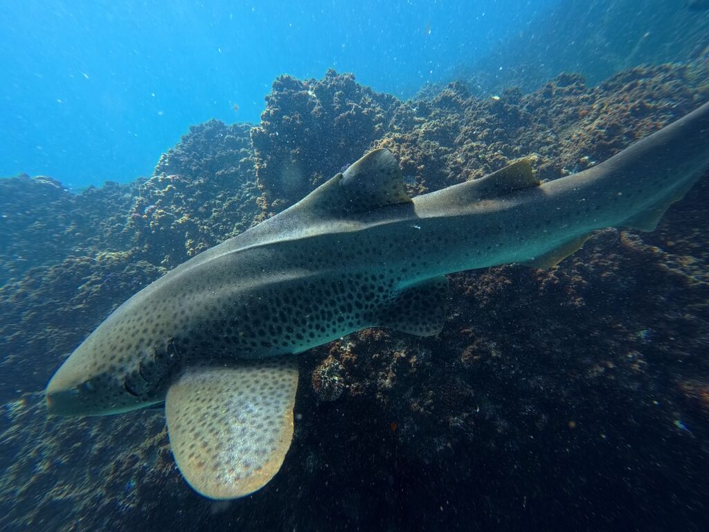 b829565e-133a-4185-9b65-fa718e818870