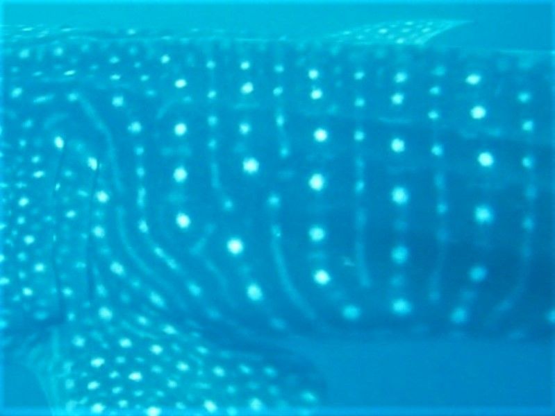 8e33aef3-1a9a-487c-b849-23d5f607f90b