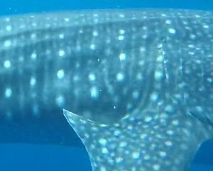 b5a77f0b-1808-4e20-88e0-11f3b9dabfe8