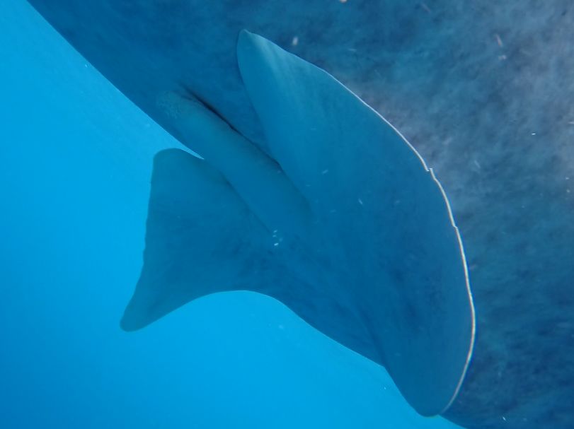 b5a77f0b-1808-4e20-88e0-11f3b9dabfe8