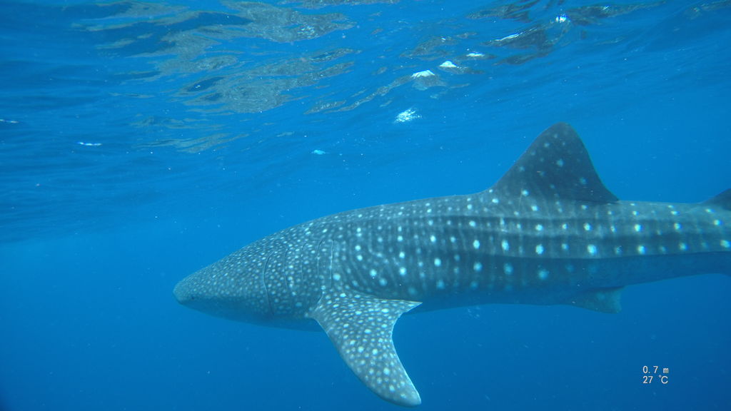 b5a77f0b-1808-4e20-88e0-11f3b9dabfe8