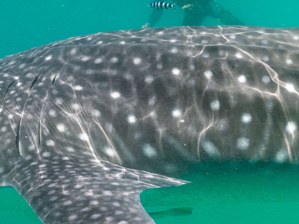 c2638796-c7c3-4614-b298-7fae08fb10a9