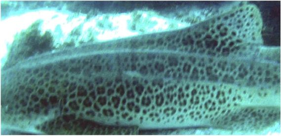 2749e10b-28e8-4b2b-a3d7-5524d5ba3be2