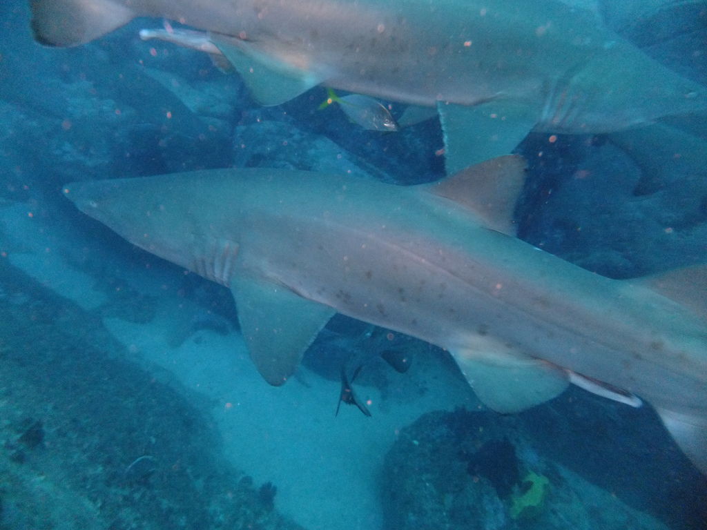 551b26ca-65ec-4591-8d30-de03d23c7f7d