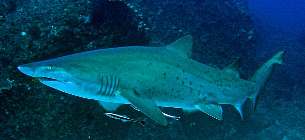 eb097c98-6799-4e38-8cb9-2e364e5df88f