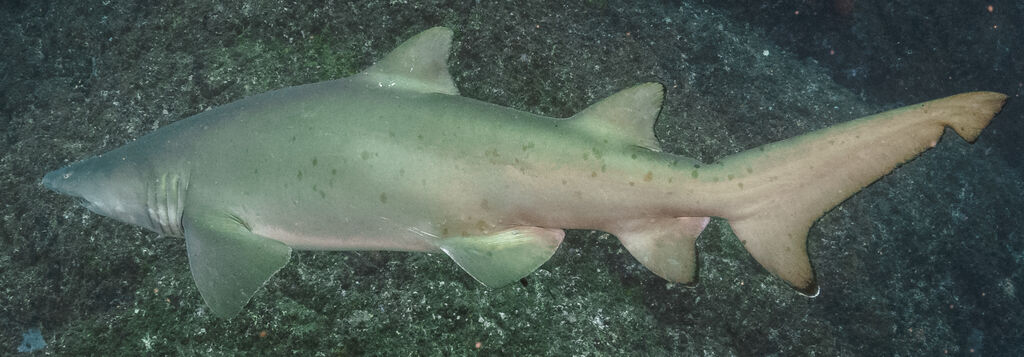 c6ab81db-0381-4094-9a40-cf7e58dd7c49