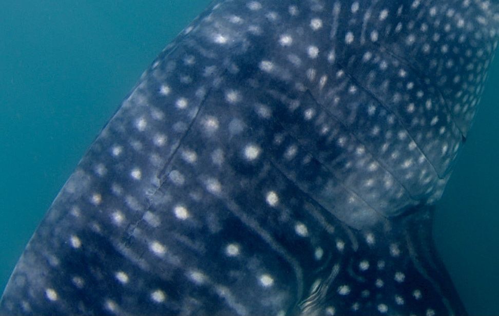 d7e78d4a-336c-47db-ba14-8ff60ffe571d