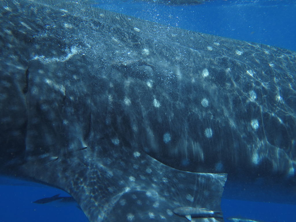 534b3d1f-72a9-4267-92f7-0fbf87b29b89