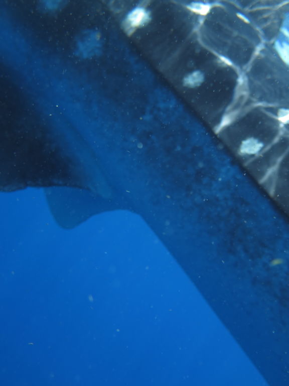 534b3d1f-72a9-4267-92f7-0fbf87b29b89