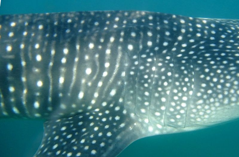 96b13772-1579-4e4d-8664-162a7ab26c52