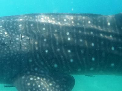 d19d98e4-f32a-47f1-a570-9c1cdb17e59f