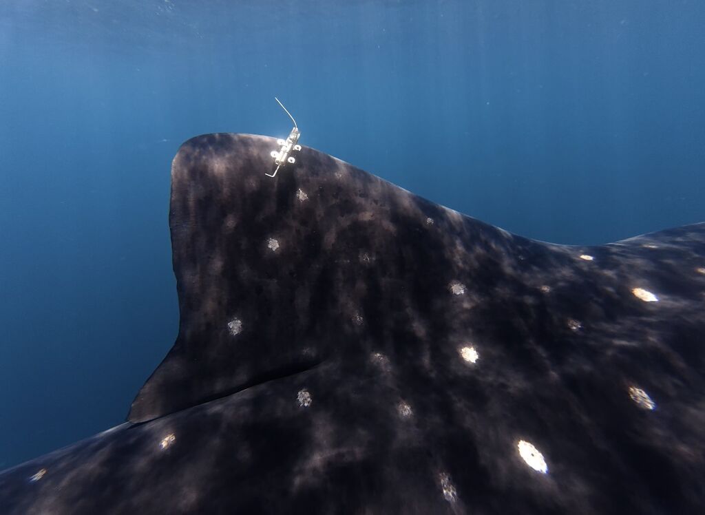 2e926cef-70ce-4027-93c6-17226b896b88