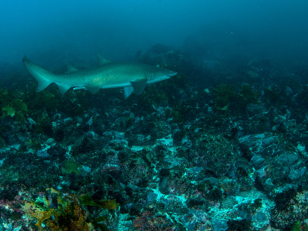 4cc08b0b-6d11-4051-acf9-87eb5de1fb7e