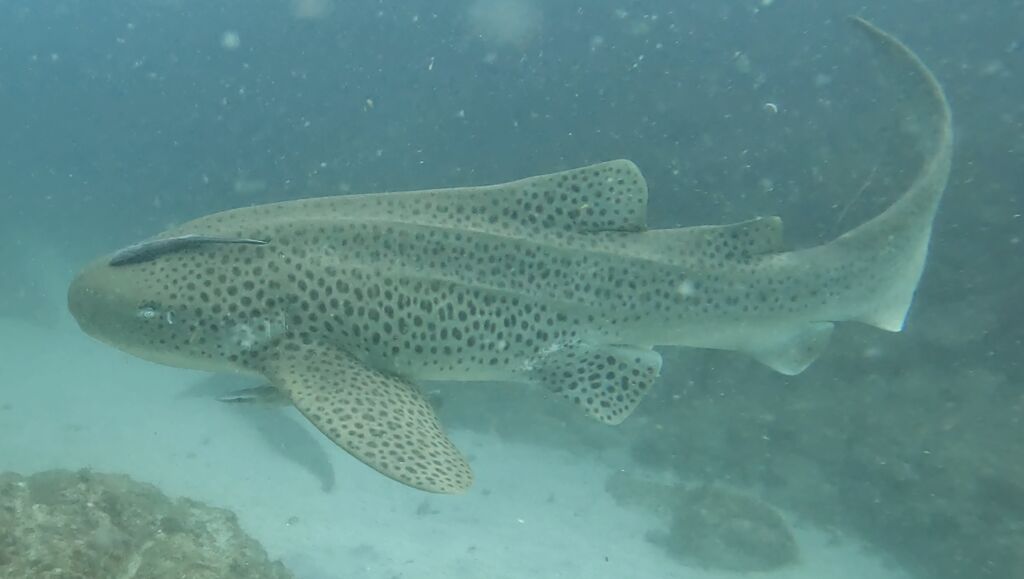 e3f01a09-dfda-456a-a2ce-b2405fe9bdc7