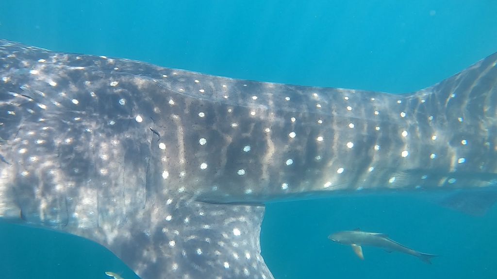 8d2cce25-8d3c-483b-924b-4a5f66941cd3