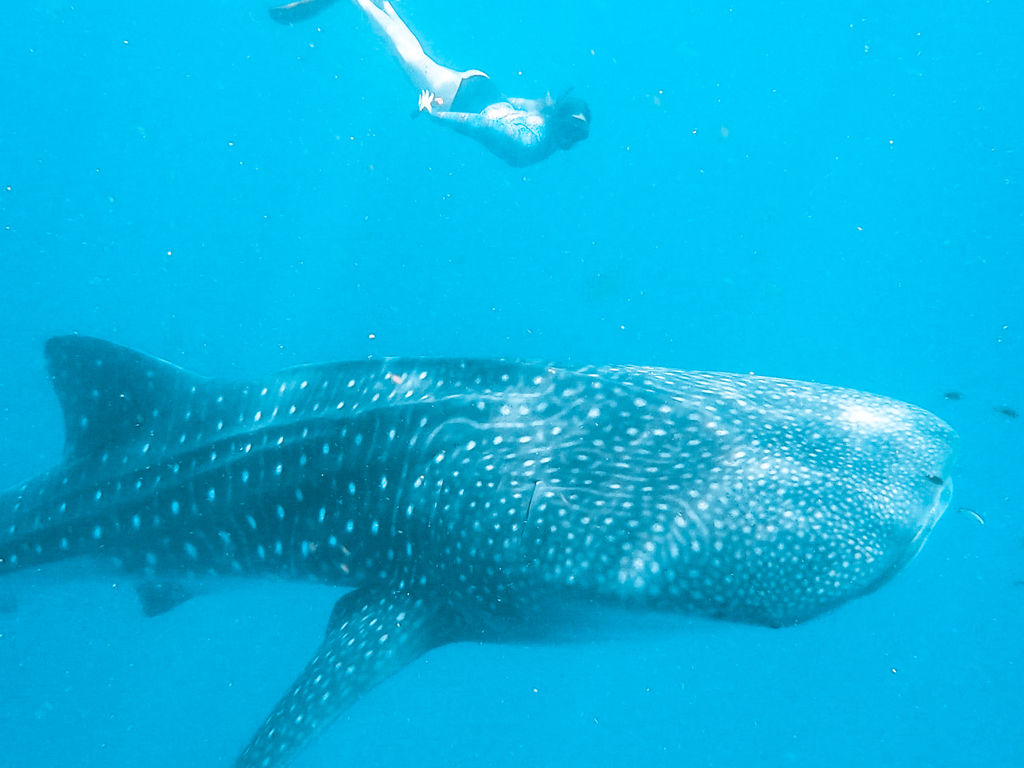 07b7975b-7bb2-48af-8eb6-e47bd445a6b4