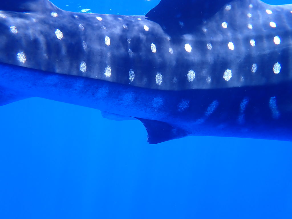 356d3969-ddad-4233-aa33-c8b317fcaeb9