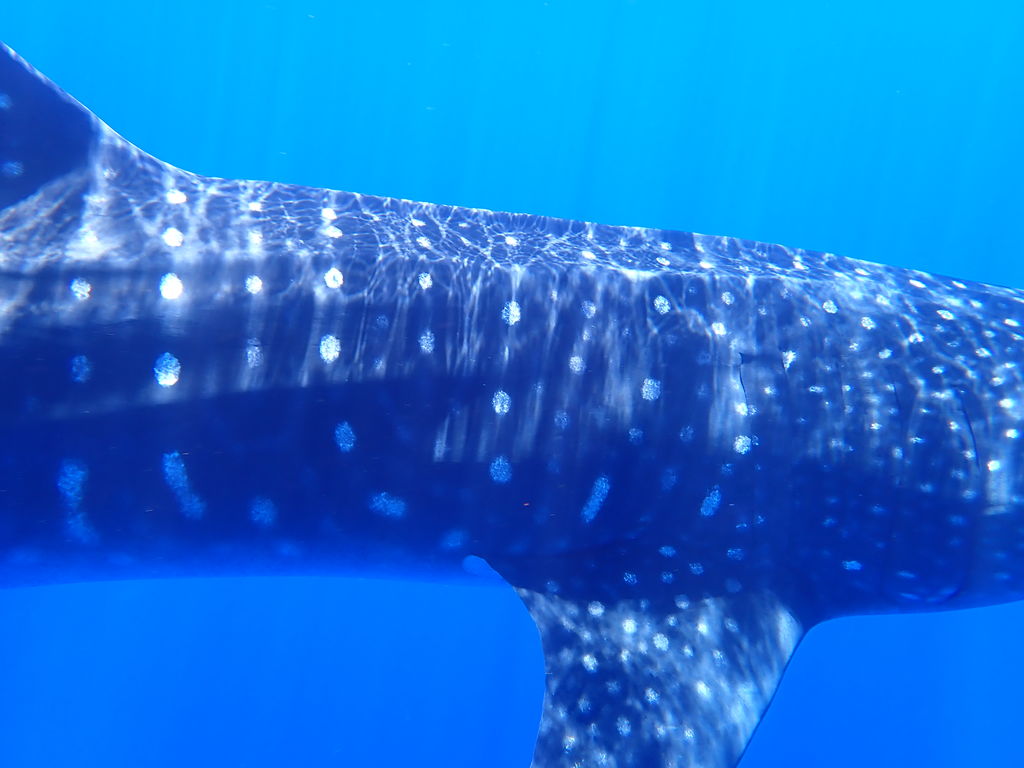 356d3969-ddad-4233-aa33-c8b317fcaeb9