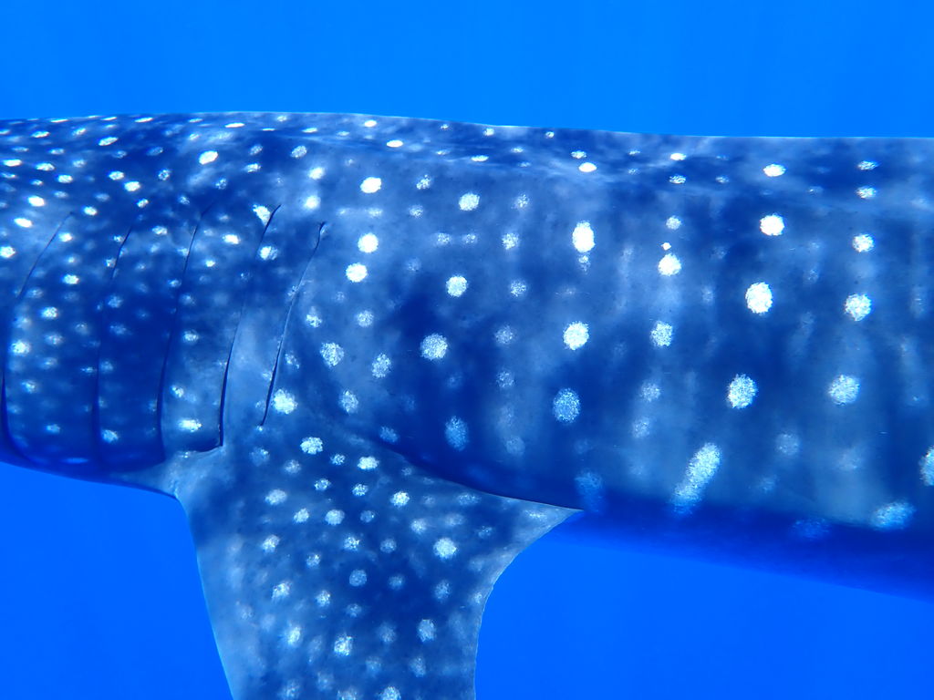 356d3969-ddad-4233-aa33-c8b317fcaeb9