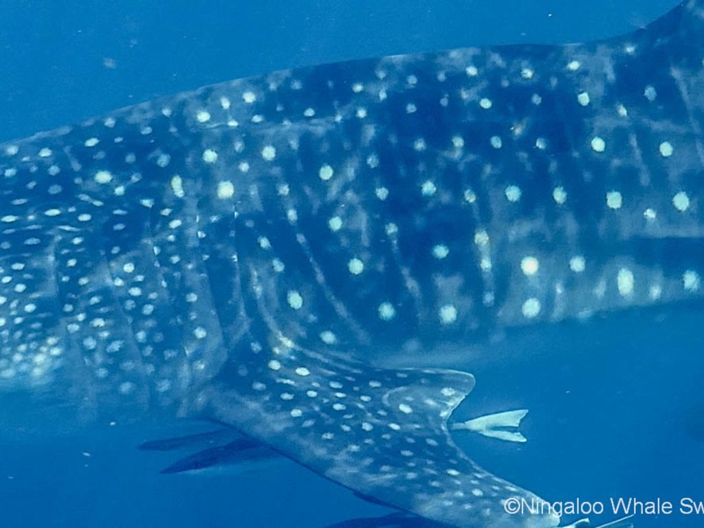 c01c92a2-591a-4f61-8a47-e170fd5782a4