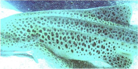 84222c21-c84c-4d42-9e7b-7242f78f3a2d