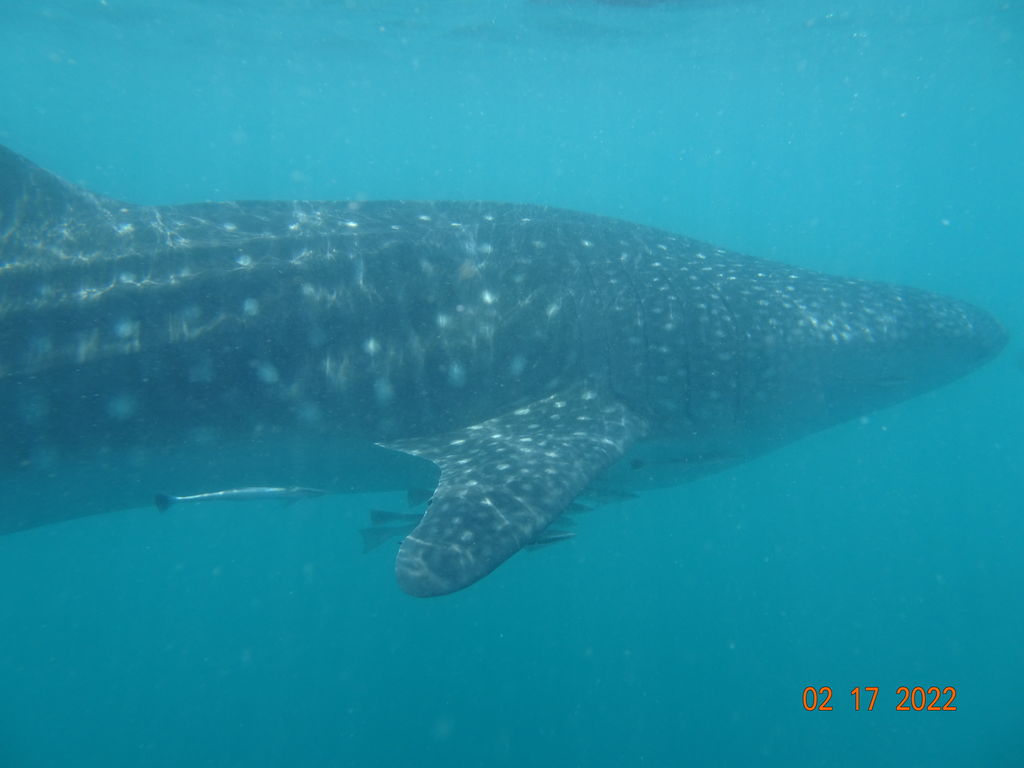 d744f4a8-abad-4ee2-ae54-09259cb11388