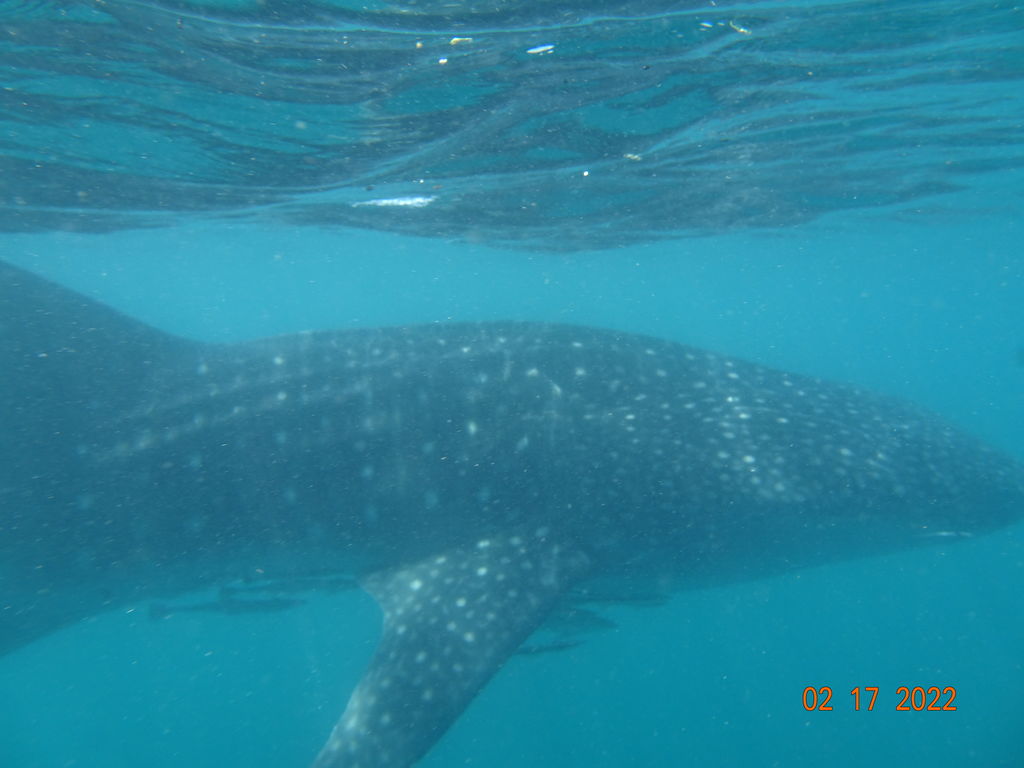 d744f4a8-abad-4ee2-ae54-09259cb11388