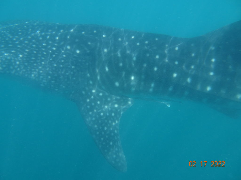 d744f4a8-abad-4ee2-ae54-09259cb11388